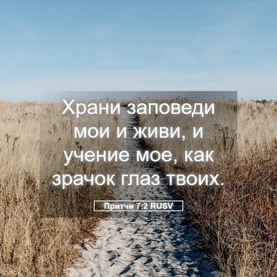 Picture 05 - Притчи 7:2 RUSV - Храни заповеди мои и живи, - Bible Verse Picture