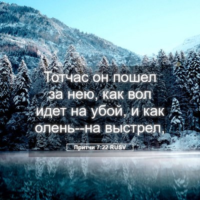 Picture 05 - Притчи 7:22 RUSV - Тотчас он пошел за нею, как - Bible Verse Picture