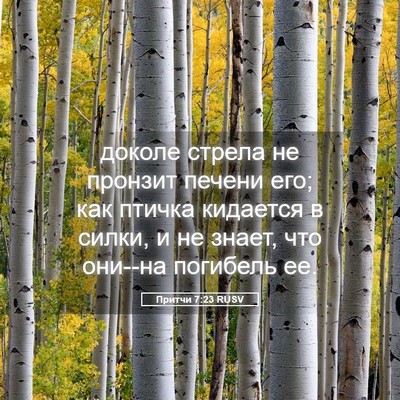 Picture 05 - Притчи 7:23 RUSV - доколе стрела не пронзит - Bible Verse Picture