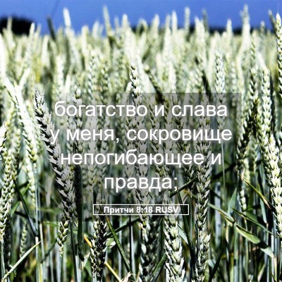 Picture 05 - Притчи 8:18 RUSV - богатство и слава у меня, - Bible Verse Picture
