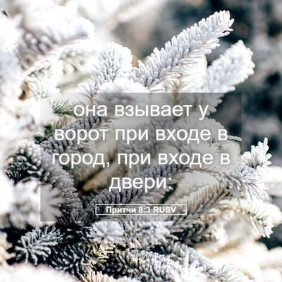 Picture 05 - Притчи 8:3 RUSV - она взывает у ворот при - Bible Verse Picture