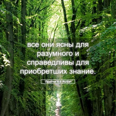 Picture 05 - Притчи 8:9 RUSV - все они ясны для разумного - Bible Verse Picture