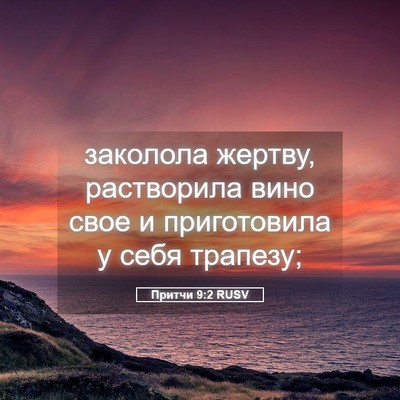 Picture 05 - Притчи 9:2 RUSV - заколола жертву, - Bible Verse Picture
