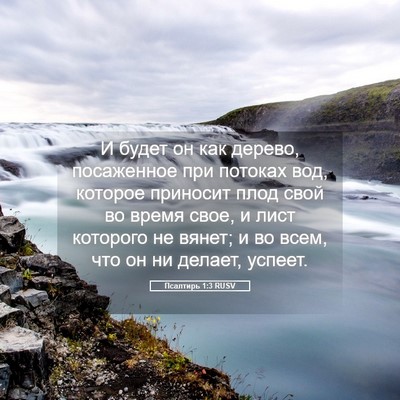 Picture 05 - Псалтирь 1:3 RUSV - И будет он как дерево, - Bible Verse Picture