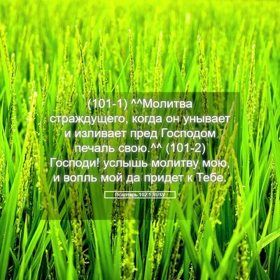Picture 05 - Псалтирь 102:1 RUSV - (101-1) ^^Молитва страждущего, - Bible Verse Picture