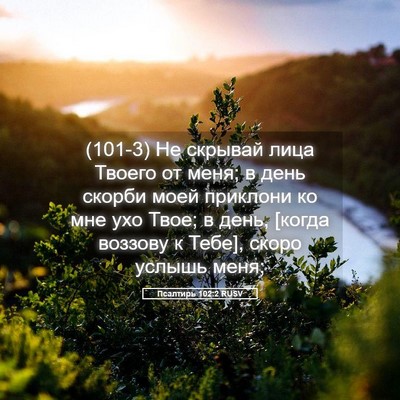 Picture 05 - Псалтирь 102:2 RUSV - (101-3) Не скрывай лица Твоего - Bible Verse Picture