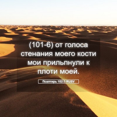 Picture 05 - Псалтирь 102:5 RUSV - (101-6) от голоса стенания - Bible Verse Picture