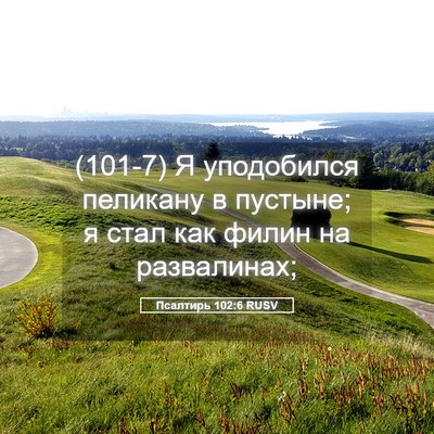 Picture 05 - Псалтирь 102:6 RUSV - (101-7) Я уподобился пеликану - Bible Verse Picture