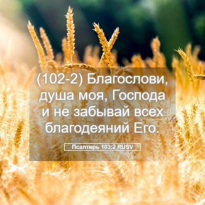 Picture 05 - Псалтирь 103:2 RUSV - (102-2) Благослови, душа моя, - Bible Verse Picture