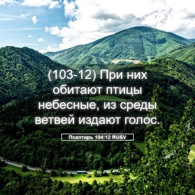 Picture 05 - Псалтирь 104:12 RUSV - (103-12) При них обитают птицы - Bible Verse Picture