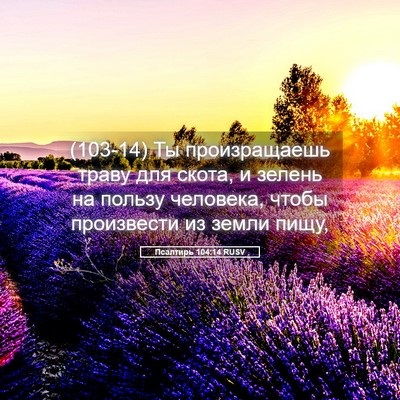 Picture 05 - Псалтирь 104:14 RUSV - (103-14) Ты произращаешь траву - Bible Verse Picture