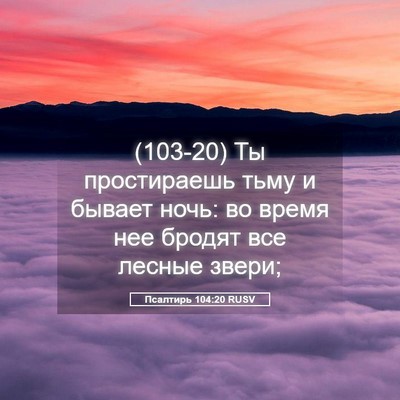 Picture 05 - Псалтирь 104:20 RUSV - (103-20) Ты простираешь тьму и - Bible Verse Picture