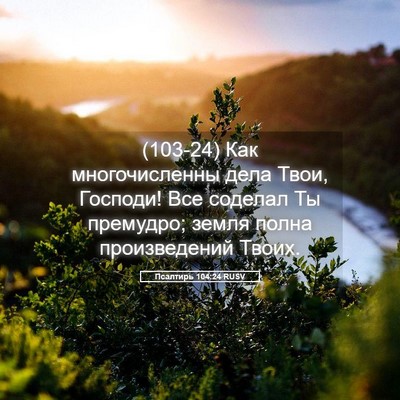 Picture 05 - Псалтирь 104:24 RUSV - (103-24) Как многочисленны - Bible Verse Picture