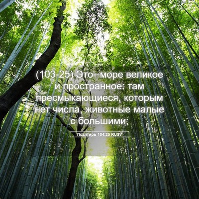 Picture 05 - Псалтирь 104:25 RUSV - (103-25) Это--море великое и - Bible Verse Picture