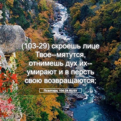 Picture 05 - Псалтирь 104:29 RUSV - (103-29) скроешь лице - Bible Verse Picture
