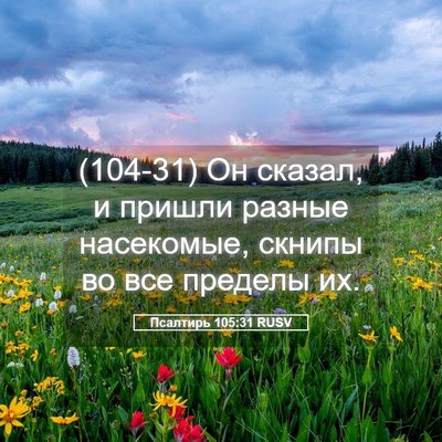 Picture 05 - Псалтирь 105:31 RUSV - (104-31) Он сказал, и пришли - Bible Verse Picture