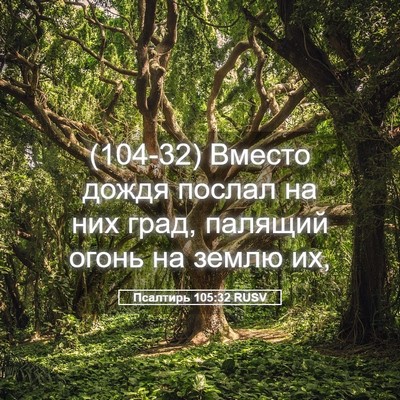 Picture 05 - Псалтирь 105:32 RUSV - (104-32) Вместо дождя послал - Bible Verse Picture