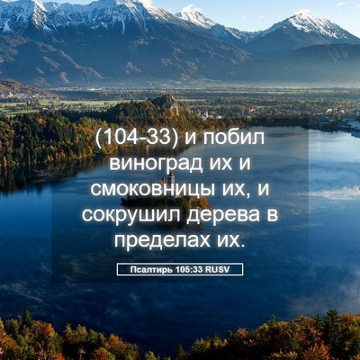 Picture 05 - Псалтирь 105:33 RUSV - (104-33) и побил виноград их и - Bible Verse Picture