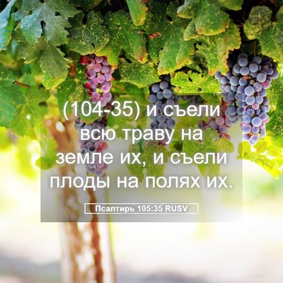 Picture 05 - Псалтирь 105:35 RUSV - (104-35) и съели всю траву на - Bible Verse Picture