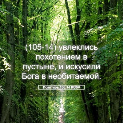 Picture 05 - Псалтирь 106:14 RUSV - (105-14) увлеклись похотением - Bible Verse Picture