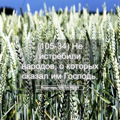 Picture 05 - Псалтирь 106:34 RUSV - (105-34) Не истребили народов, - Bible Verse Picture
