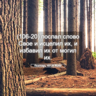 Picture 05 - Псалтирь 107:20 RUSV - (106-20) послал слово Свое и - Bible Verse Picture