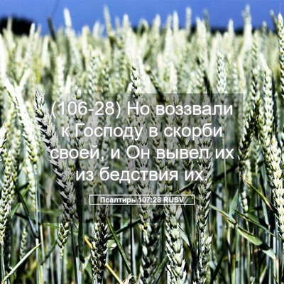 Picture 05 - Псалтирь 107:28 RUSV - (106-28) Но воззвали к Господу - Bible Verse Picture