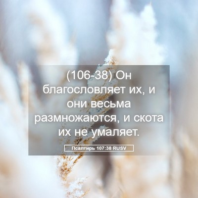 Picture 05 - Псалтирь 107:38 RUSV - (106-38) Он благословляет их, и - Bible Verse Picture