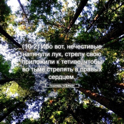Picture 05 - Псалтирь 11:2 RUSV - (10-2) Ибо вот, нечестивые - Bible Verse Picture