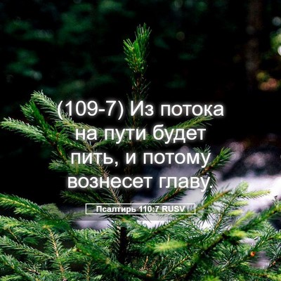 Picture 05 - Псалтирь 110:7 RUSV - (109-7) Из потока на пути - Bible Verse Picture