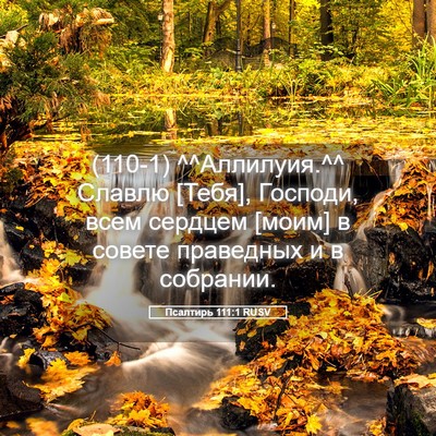 Picture 05 - Псалтирь 111:1 RUSV - (110-1) ^^Аллилуия.^^ Славлю - Bible Verse Picture