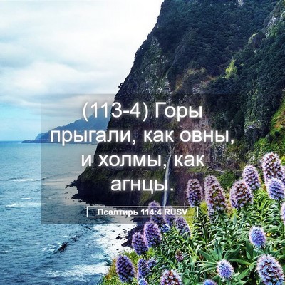Picture 05 - Псалтирь 114:4 RUSV - (113-4) Горы прыгали, как овны, - Bible Verse Picture