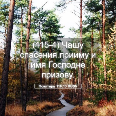 Picture 05 - Псалтирь 116:13 RUSV - (115-4) Чашу спасения прииму и - Bible Verse Picture