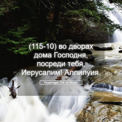 Picture 05 - Псалтирь 116:19 RUSV - (115-10) во дворах дома - Bible Verse Picture