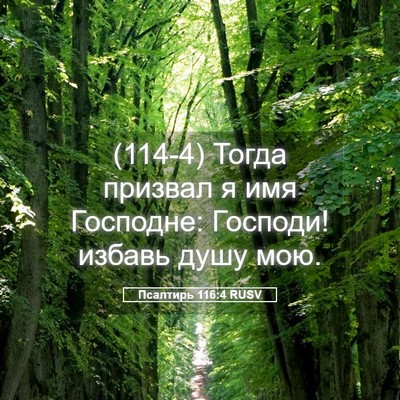 Picture 05 - Псалтирь 116:4 RUSV - (114-4) Тогда призвал я имя - Bible Verse Picture