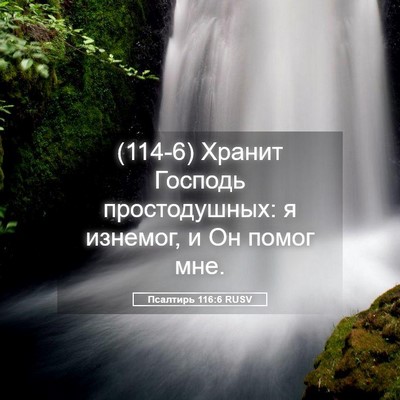 Picture 05 - Псалтирь 116:6 RUSV - (114-6) Хранит Господь - Bible Verse Picture