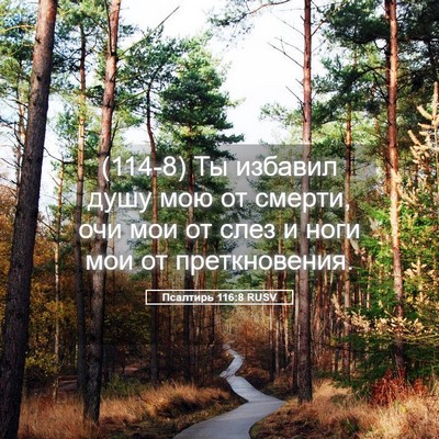 Picture 05 - Псалтирь 116:8 RUSV - (114-8) Ты избавил душу мою от - Bible Verse Picture