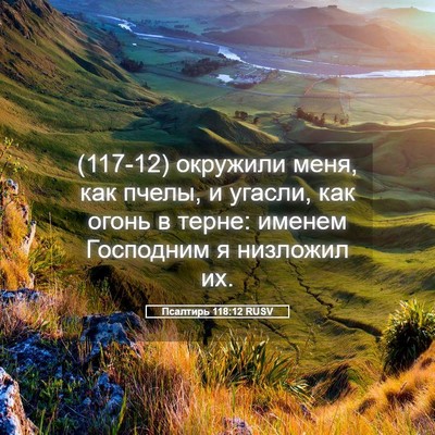 Picture 05 - Псалтирь 118:12 RUSV - (117-12) окружили меня, как - Bible Verse Picture