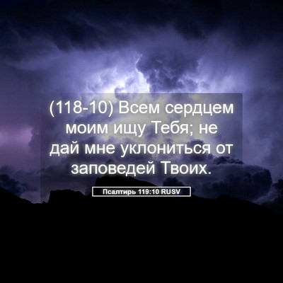 Picture 05 - Псалтирь 119:10 RUSV - (118-10) Всем сердцем моим ищу - Bible Verse Picture