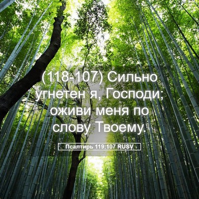 Picture 05 - Псалтирь 119:107 RUSV - (118-107) Сильно угнетен я, - Bible Verse Picture