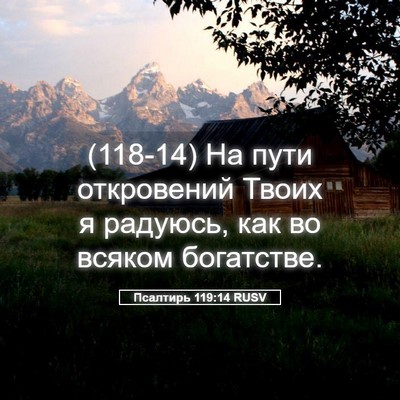 Picture 05 - Псалтирь 119:14 RUSV - (118-14) На пути откровений - Bible Verse Picture