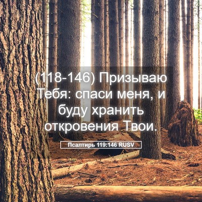 Picture 05 - Псалтирь 119:146 RUSV - (118-146) Призываю Тебя: спаси - Bible Verse Picture