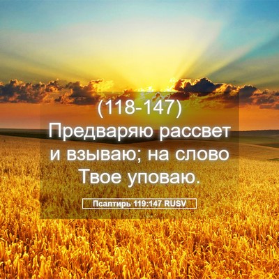 Picture 05 - Псалтирь 119:147 RUSV - (118-147) Предваряю рассвет и - Bible Verse Picture