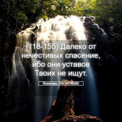Picture 05 - Псалтирь 119:155 RUSV - (118-155) Далеко от нечестивых - Bible Verse Picture