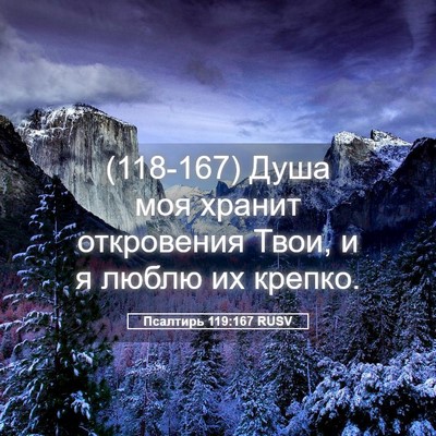 Picture 05 - Псалтирь 119:167 RUSV - (118-167) Душа моя хранит - Bible Verse Picture
