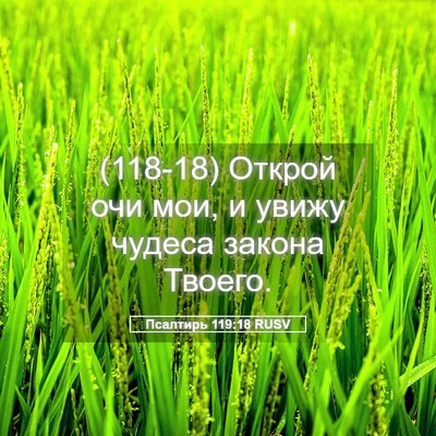 Picture 05 - Псалтирь 119:18 RUSV - (118-18) Открой очи мои, и - Bible Verse Picture