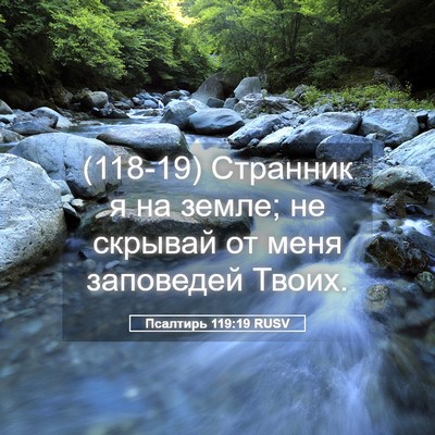 Picture 05 - Псалтирь 119:19 RUSV - (118-19) Странник я на земле; - Bible Verse Picture