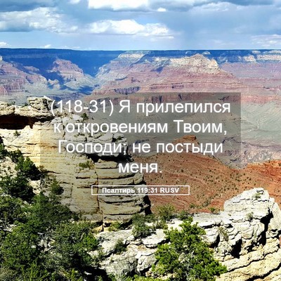 Picture 05 - Псалтирь 119:31 RUSV - (118-31) Я прилепился к - Bible Verse Picture