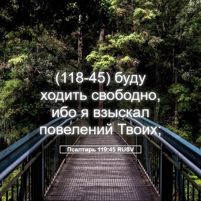 Picture 05 - Псалтирь 119:45 RUSV - (118-45) буду ходить свободно, - Bible Verse Picture