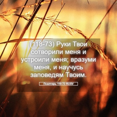 Picture 05 - Псалтирь 119:73 RUSV - (118-73) Руки Твои сотворили - Bible Verse Picture